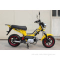 50cc Smart Motorbike: Compact and Efficient Ride